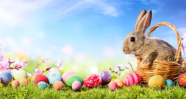 depositphotos_186666532-stock-photo-little-bunny-basket-decorated-eggs.jpg